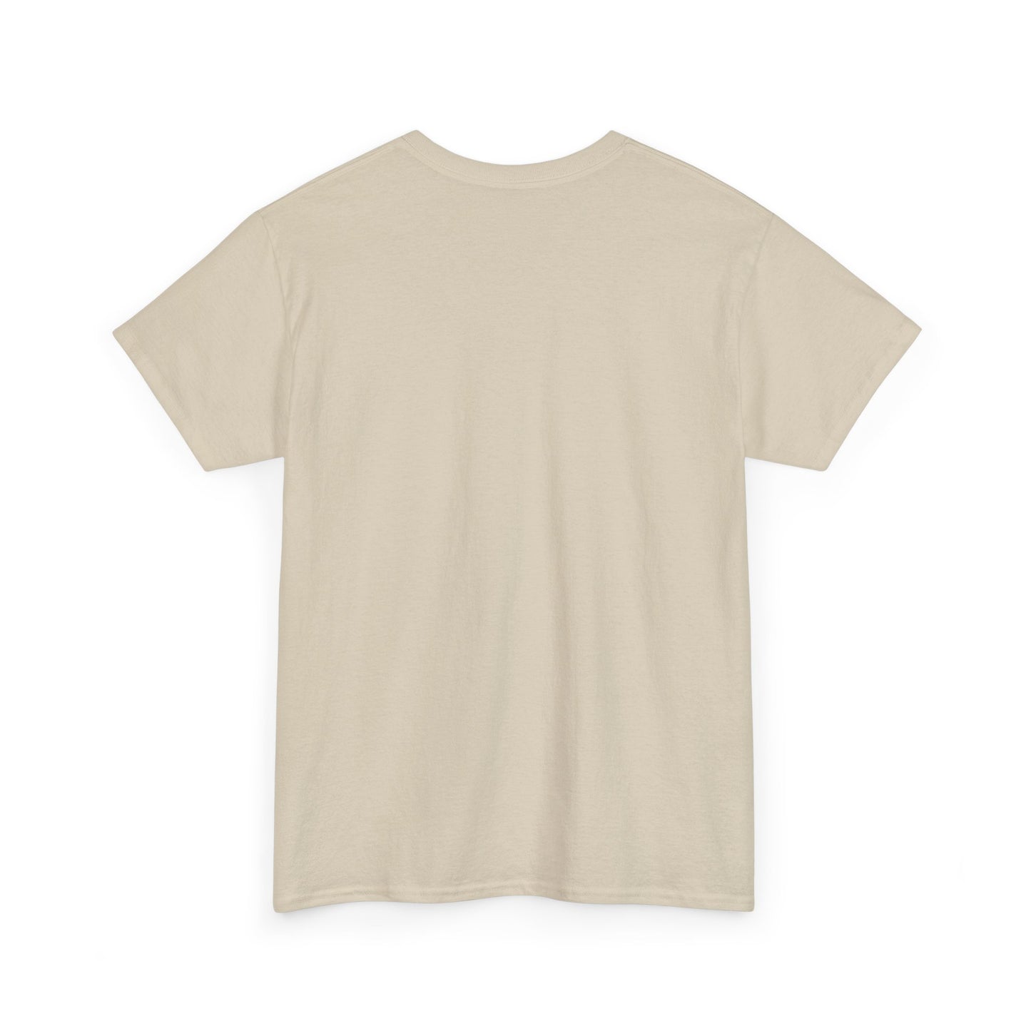 Stay Wild T-Shirt — Vintage Sunset Mountain Graphic Tee