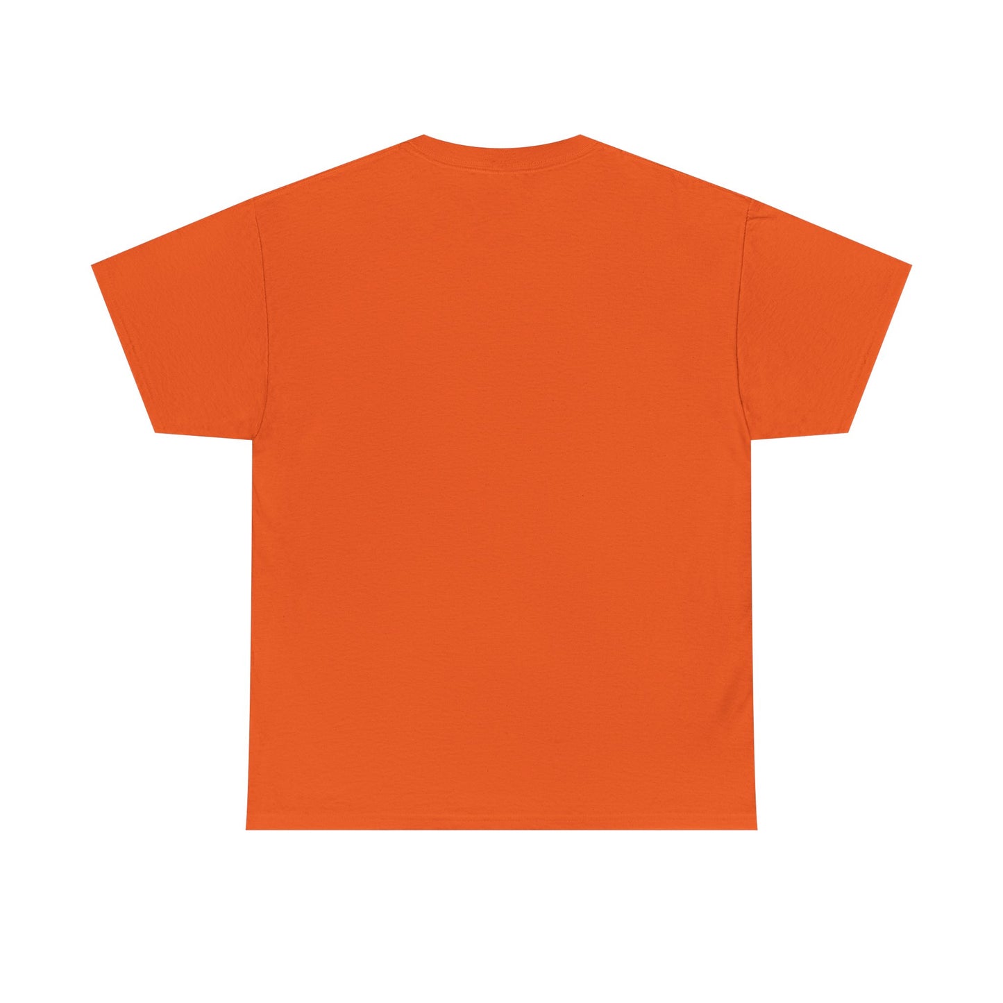 Wild Reflections T-Shirt — Aurora Mountain Elk Graphic Tee