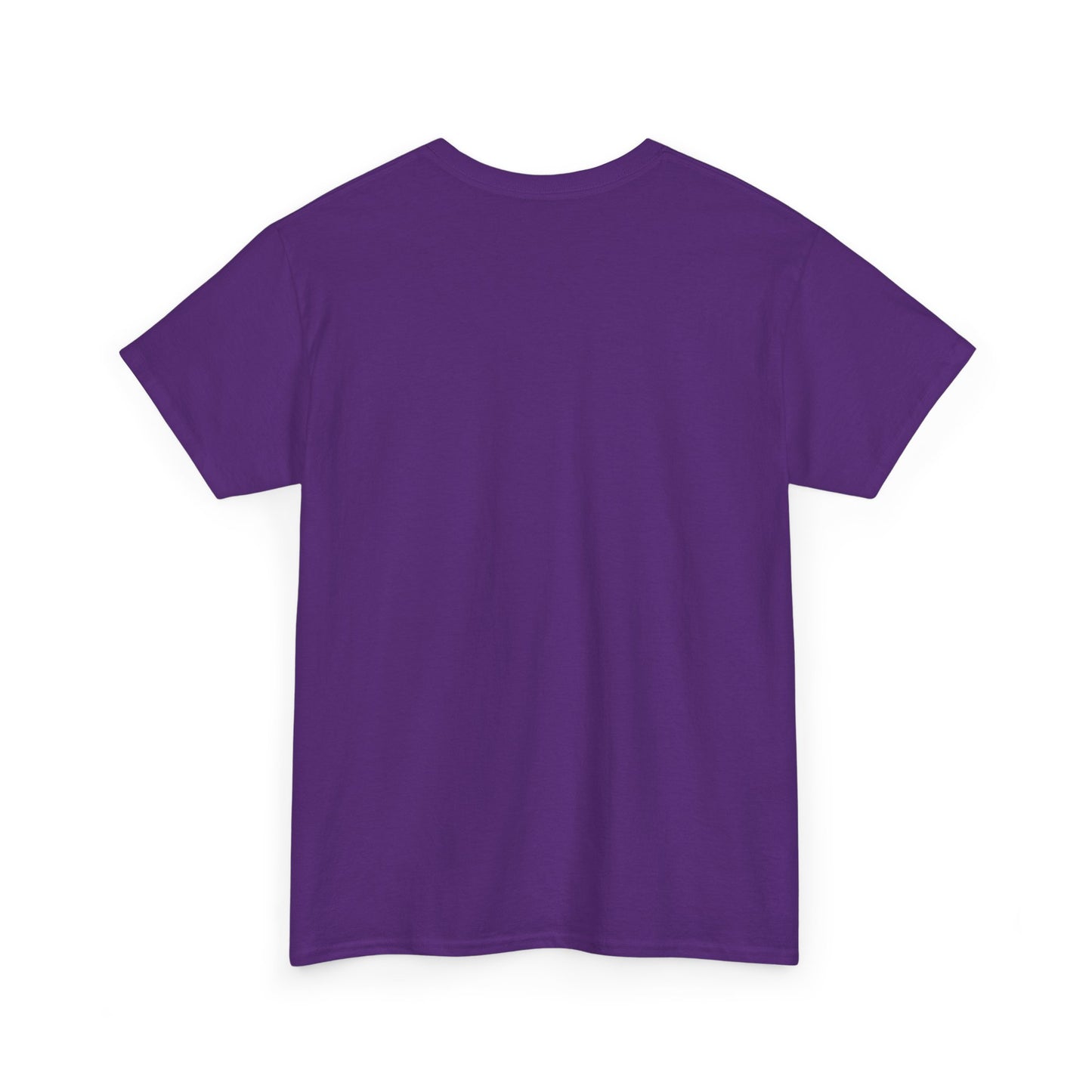 Stay Wild T-Shirt — Vintage Sunset Mountain Graphic Tee